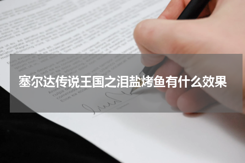 塞尔达传说王国之泪盐烤鱼有什么效果