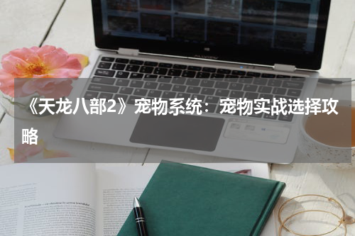 《天龙八部2》宠物系统：宠物实战选择攻略