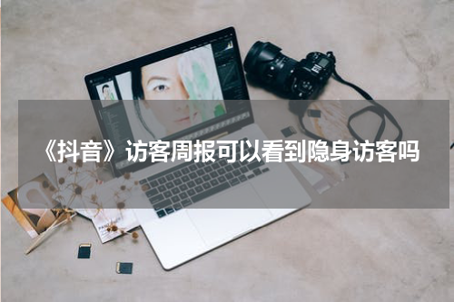 《抖音》访客周报可以看到隐身访客吗
