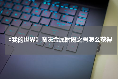 《我的世界》魔法金属附魔之骨怎么获得