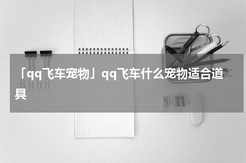 「qq飞车宠物」qq飞车什么宠物适合道具