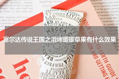 塞尔达传说王国之泪烤暖暖草果有什么效果