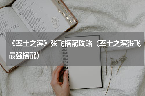 《率土之滨》张飞搭配攻略（率土之滨张飞最强搭配）
