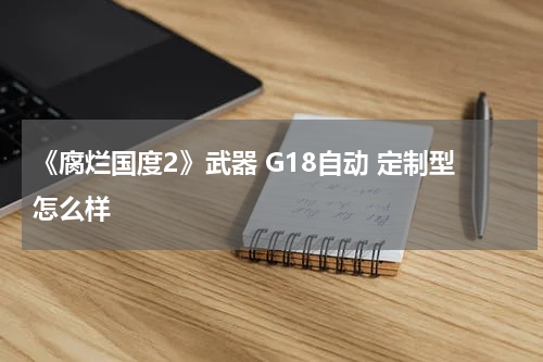 《腐烂国度2》武器 G18自动 定制型怎么样