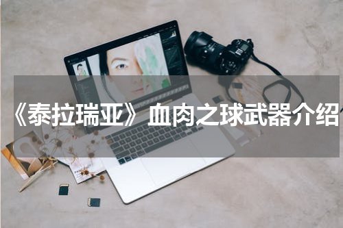 《泰拉瑞亚》血肉之球武器介绍