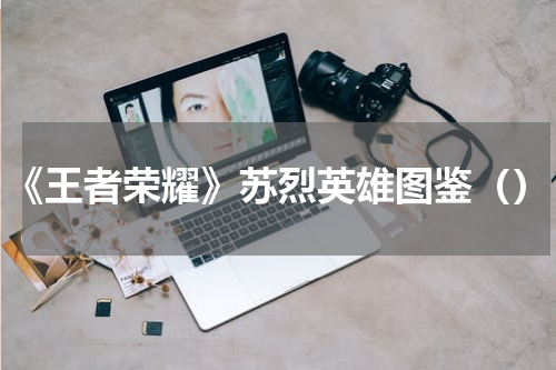 《王者荣耀》苏烈英雄图鉴（）