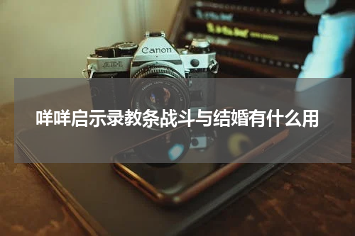 咩咩启示录教条战斗与结婚有什么用