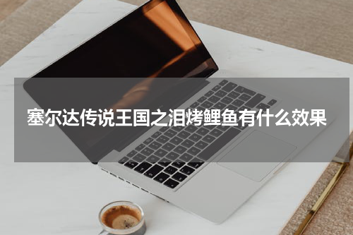 塞尔达传说王国之泪烤鲤鱼有什么效果