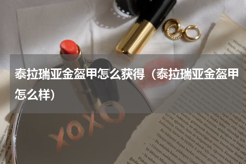 泰拉瑞亚金盔甲怎么获得（泰拉瑞亚金盔甲怎么样）