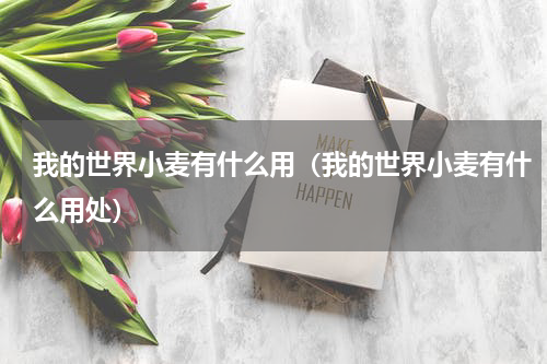 我的世界小麦有什么用（我的世界小麦有什么用处）