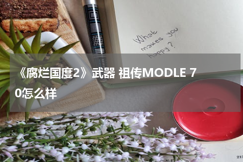 《腐烂国度2》武器 祖传MODLE 70怎么样