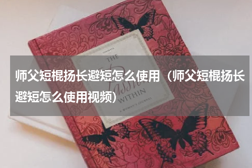 师父短棍扬长避短怎么使用（师父短棍扬长避短怎么使用视频）