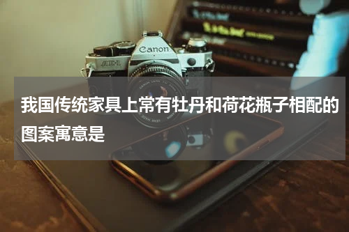 我国传统家具上常有牡丹和荷花瓶子相配的图案寓意是