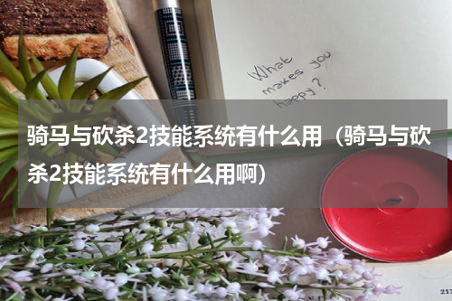 骑马与砍杀2技能系统有什么用（骑马与砍杀2技能系统有什么用啊）