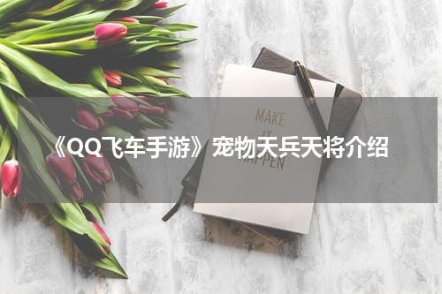 《QQ飞车手游》宠物天兵天将介绍