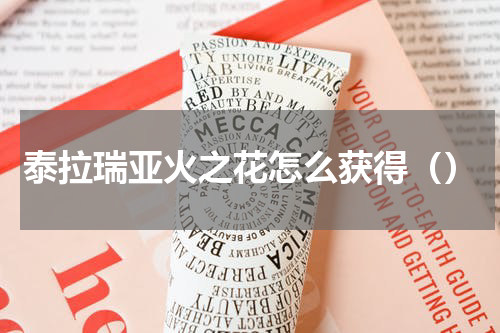 泰拉瑞亚火之花怎么获得（）