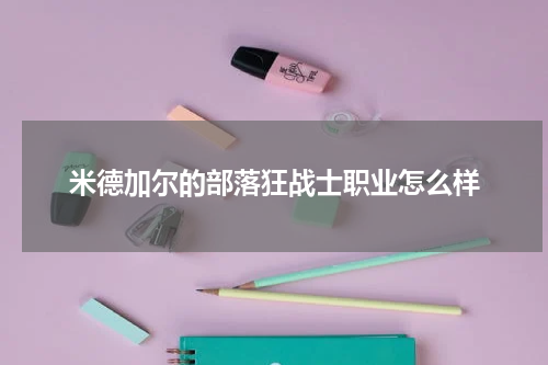 米德加尔的部落狂战士职业怎么样