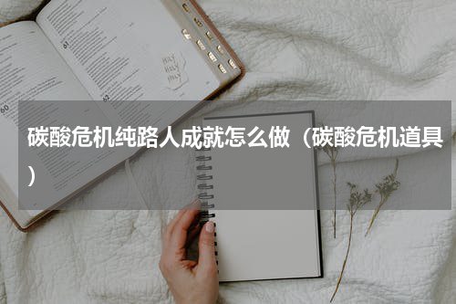 碳酸危机纯路人成就怎么做（碳酸危机道具）