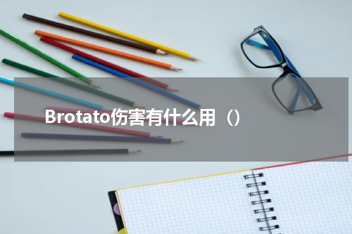 Brotato伤害有什么用（）