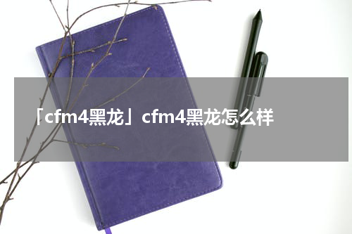 「cfm4黑龙」cfm4黑龙怎么样