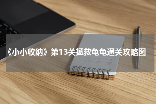 《小小收纳》第13关拯救龟龟通关攻略图
