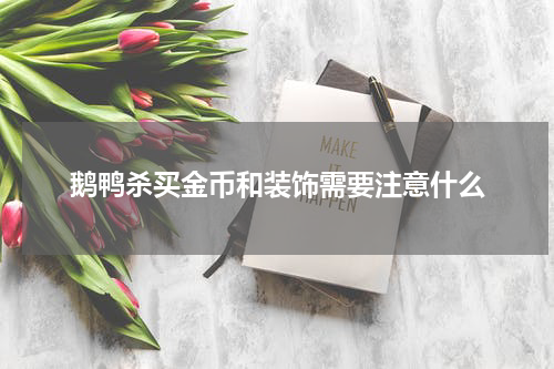 鹅鸭杀买金币和装饰需要注意什么